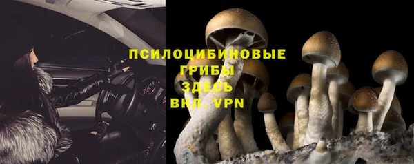твердый Алексеевка