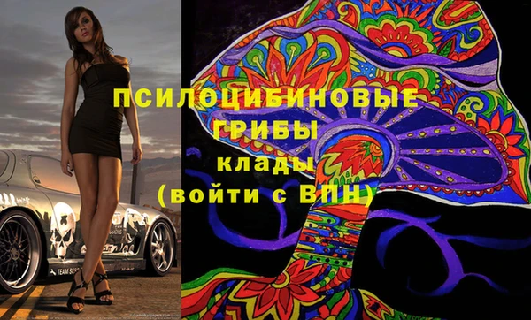 твердый Алексеевка
