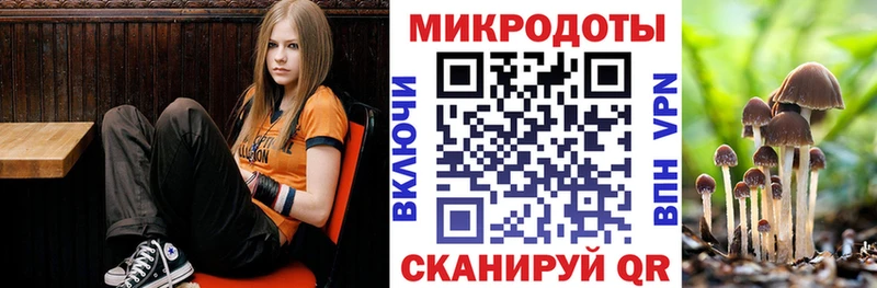 блэк спрут ссылка  что такое   Пущино  Галлюциногенные грибы MAGIC MUSHROOMS 